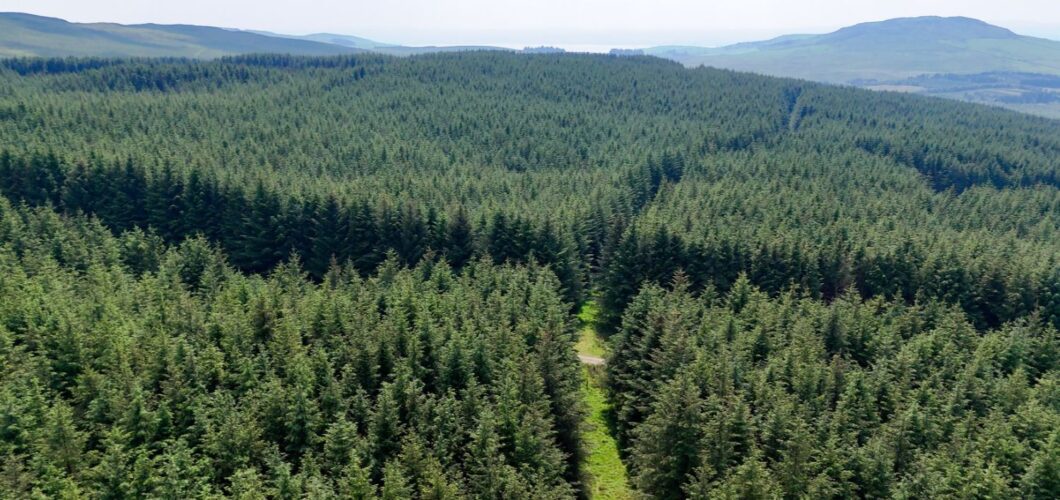 Glenquicken Forest - aerial view