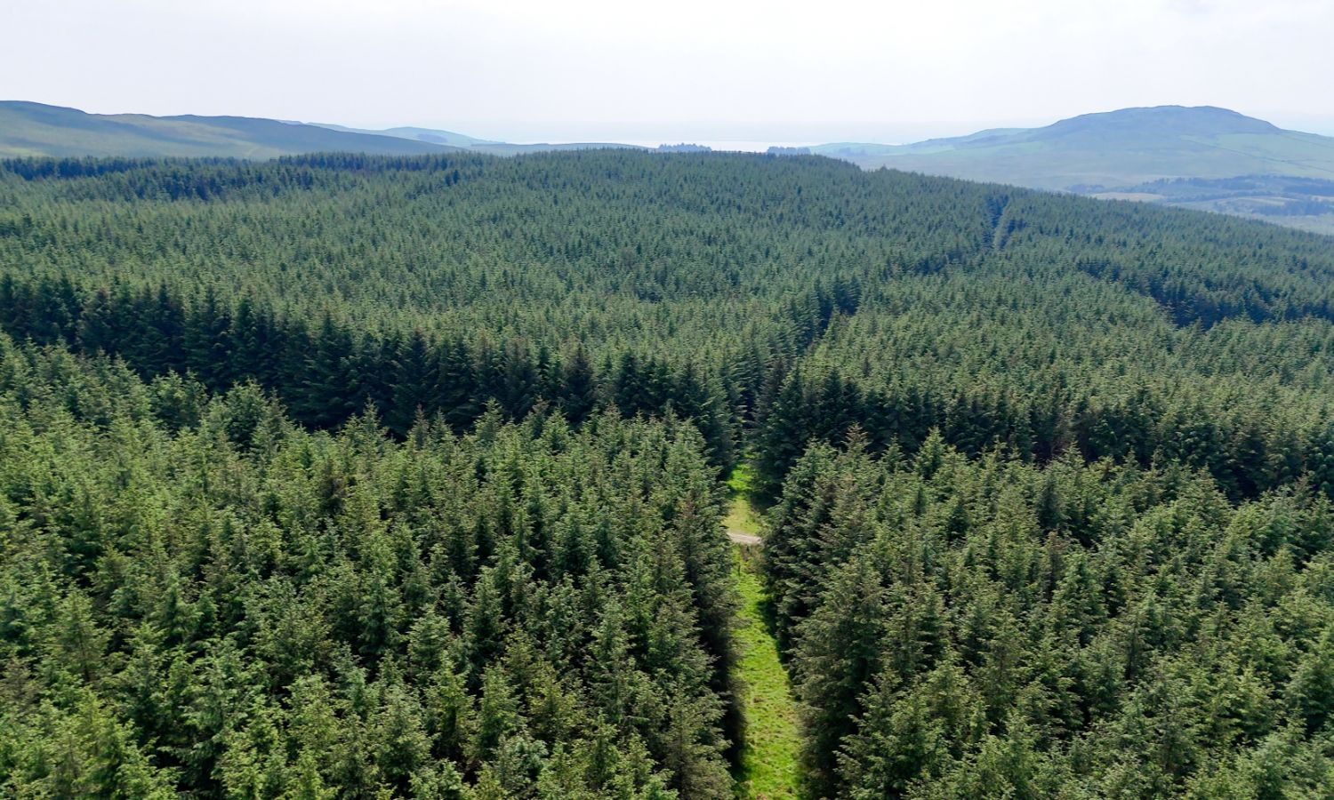 Glenquicken Forest - aerial view