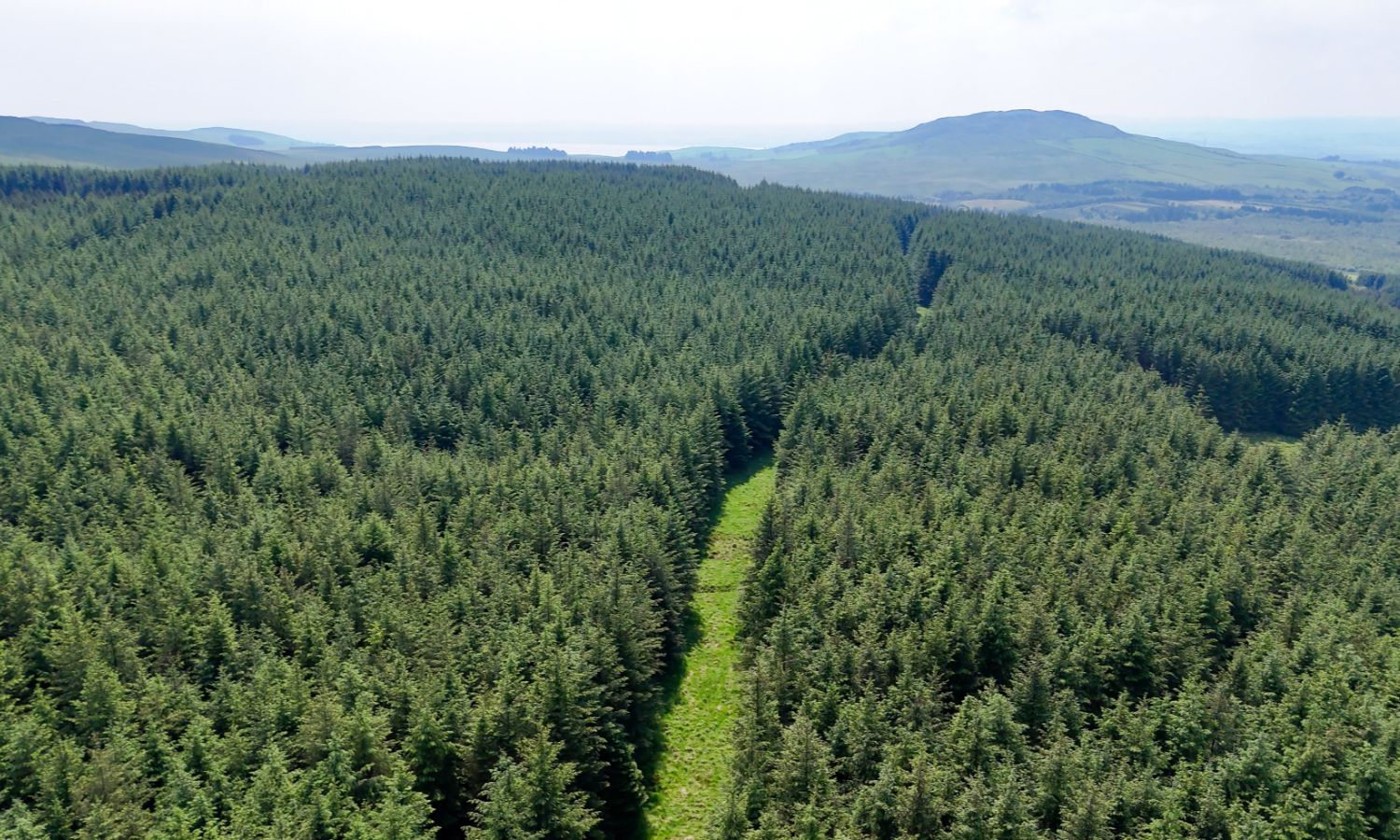 Glenquicken Forest - aerial view