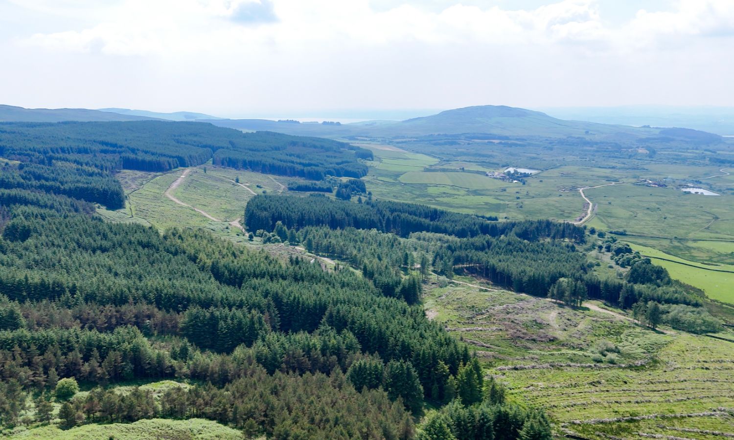 Glenquicken Forest - aerial view