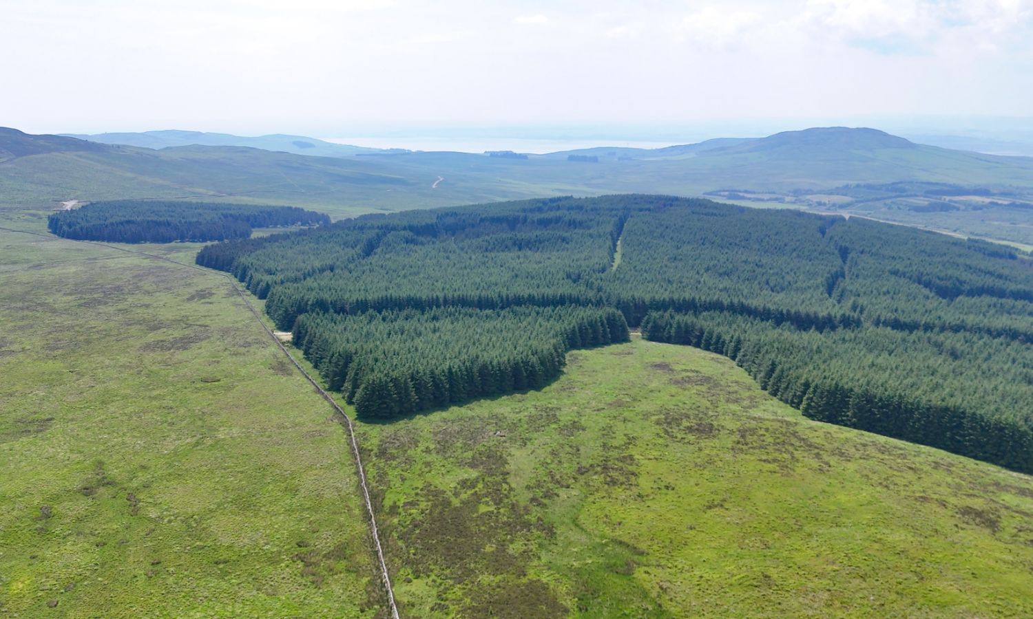 Glenquicken Forest - aerial view