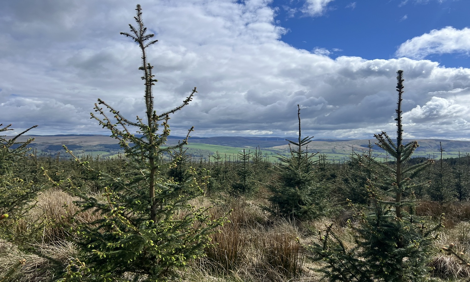 IMG_0051JPEG