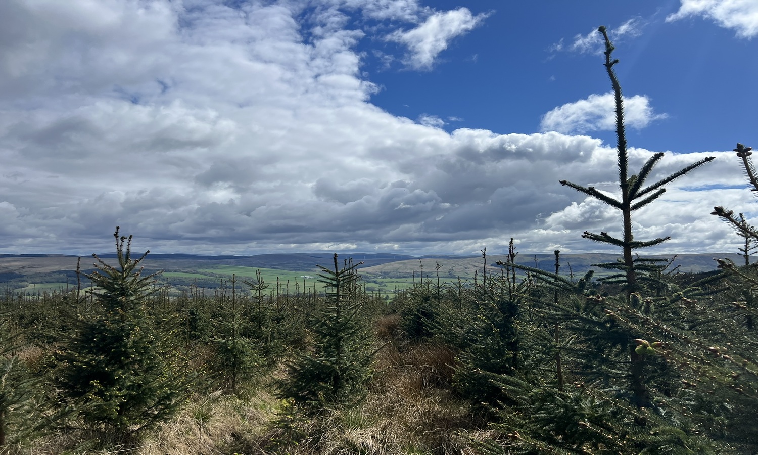IMG_0052JPEG