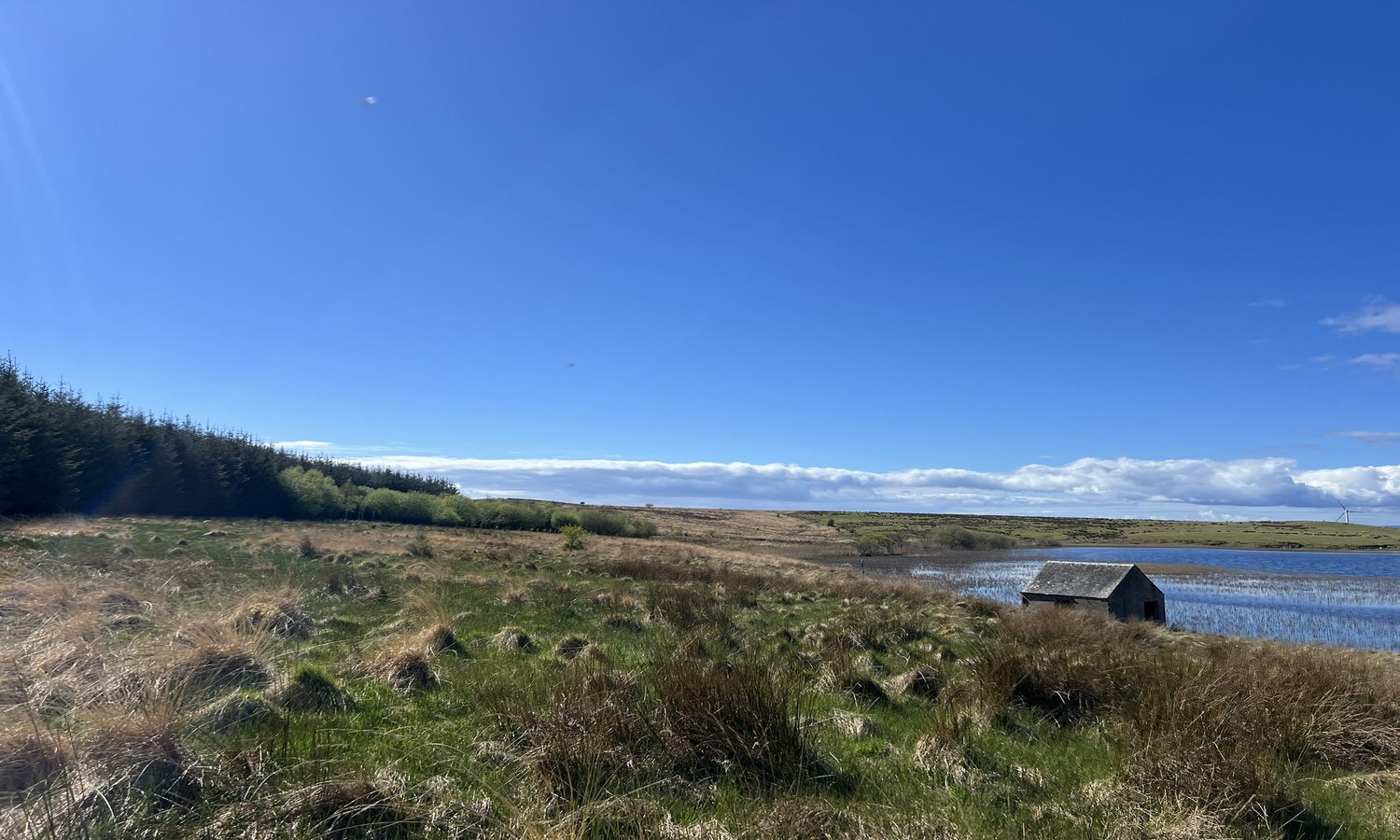 IMG_0098JPEG