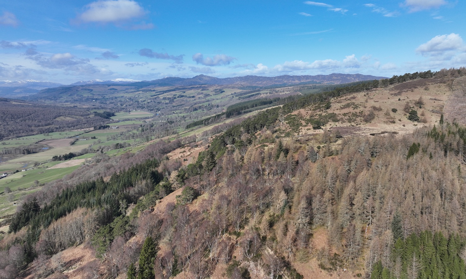 DJI_0013