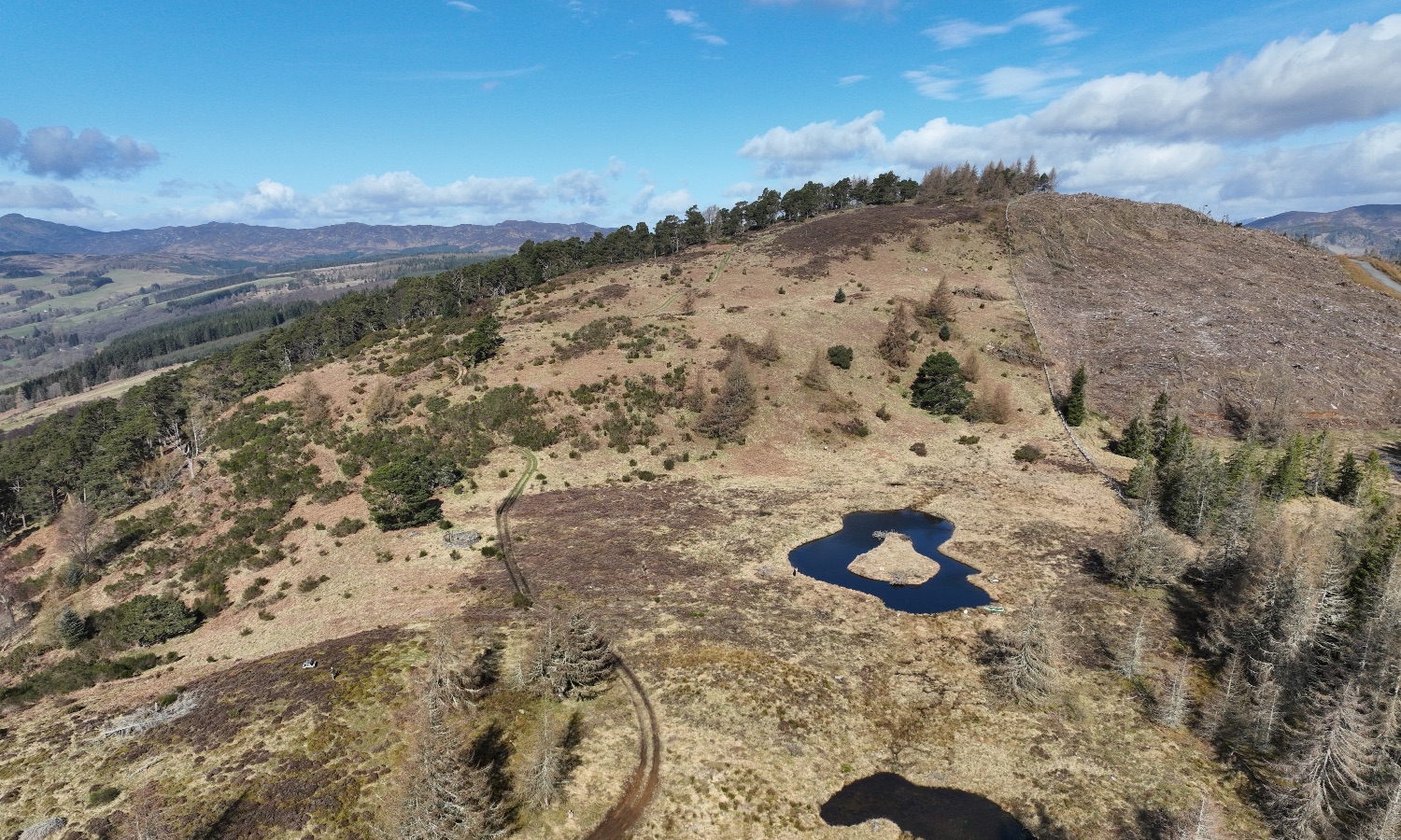 DJI_0022