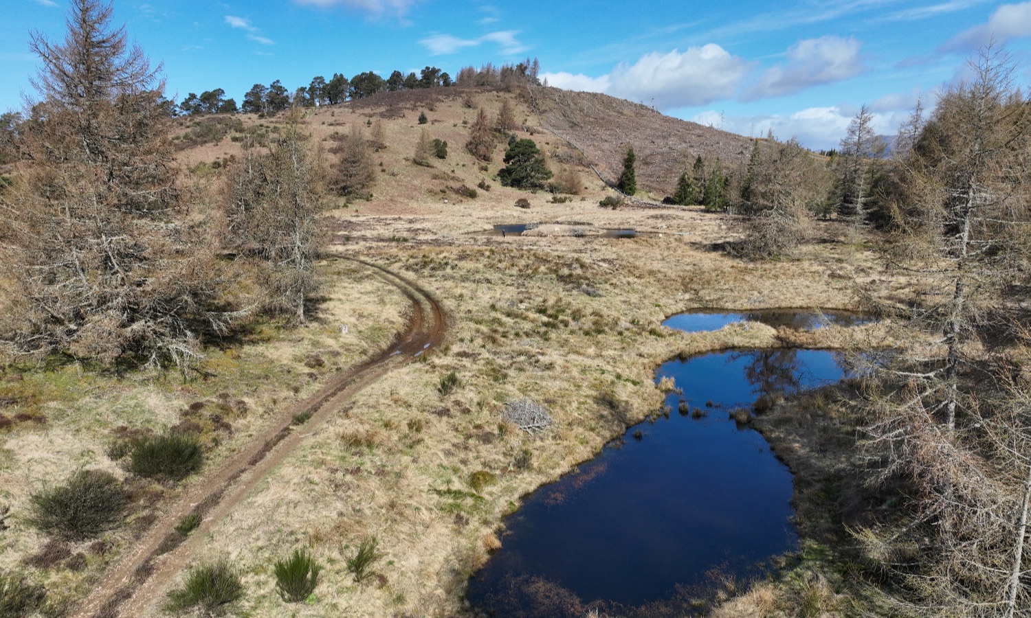 DJI_0023