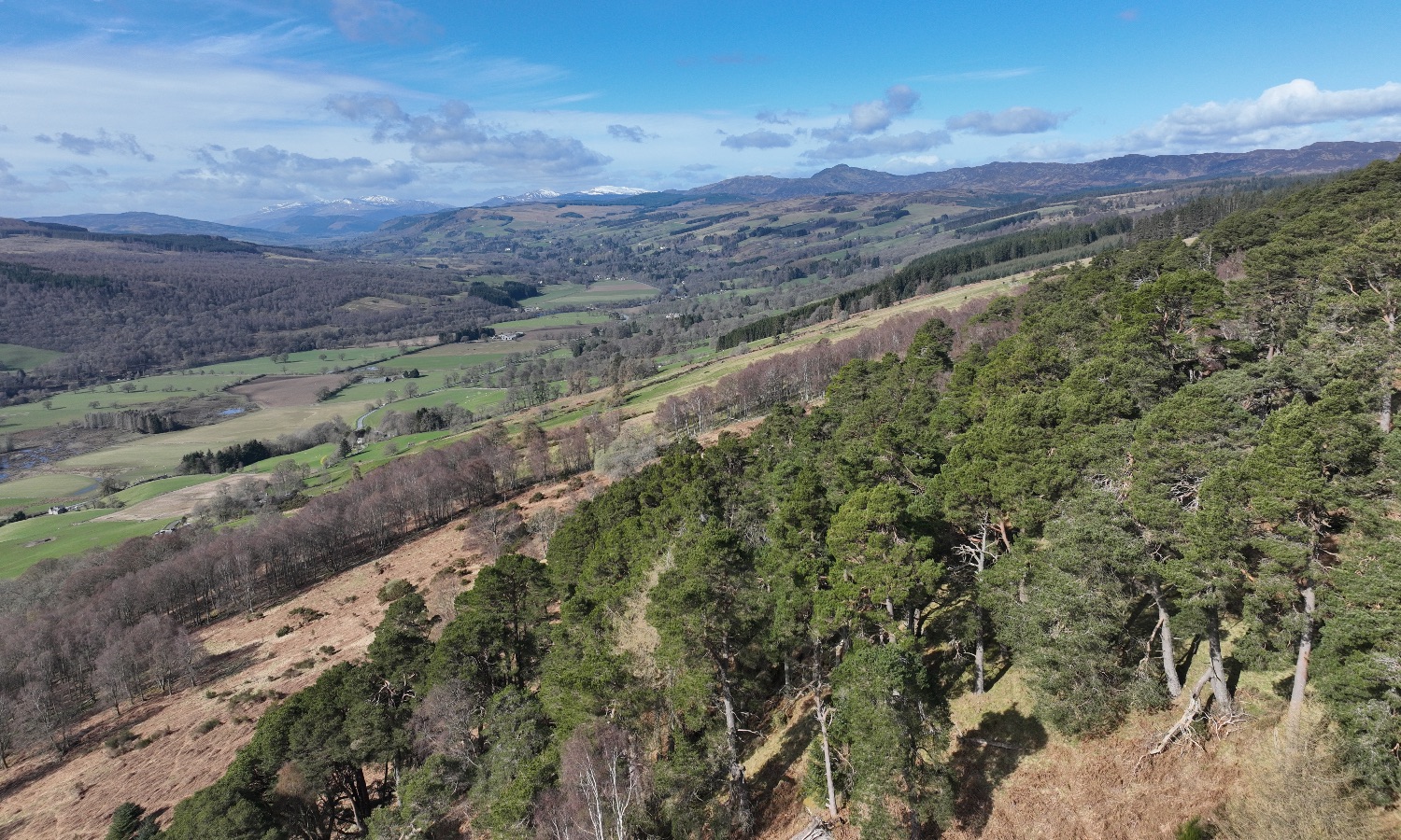 DJI_0073
