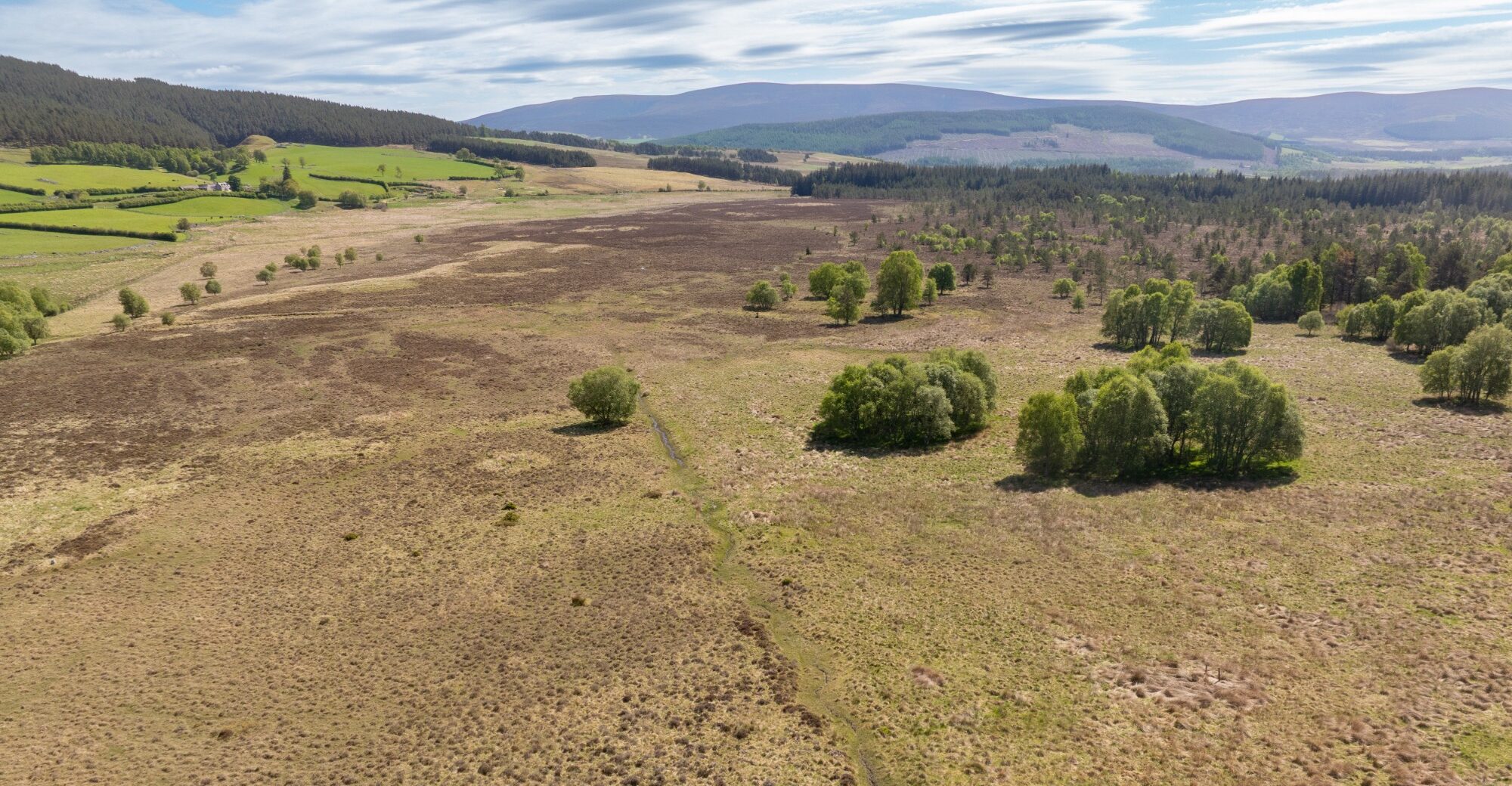 DJI_0088