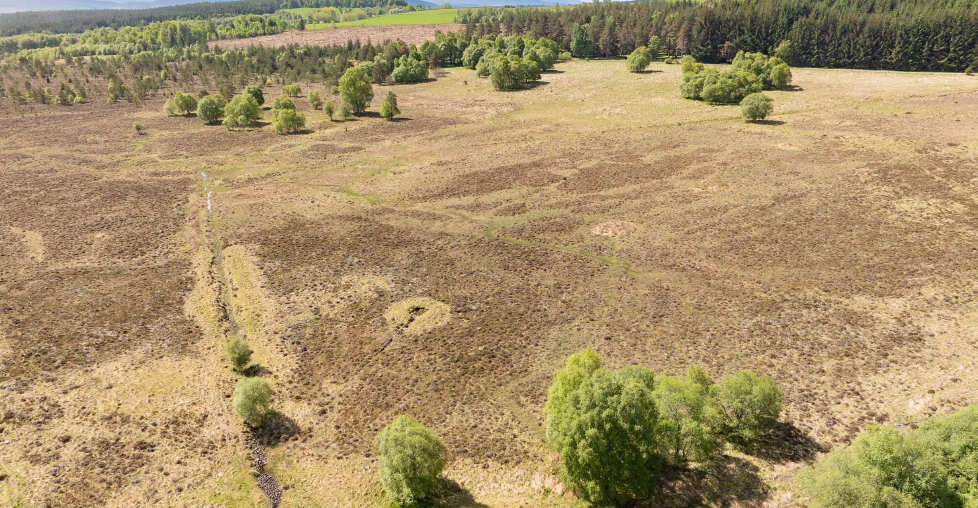 DJI_0089