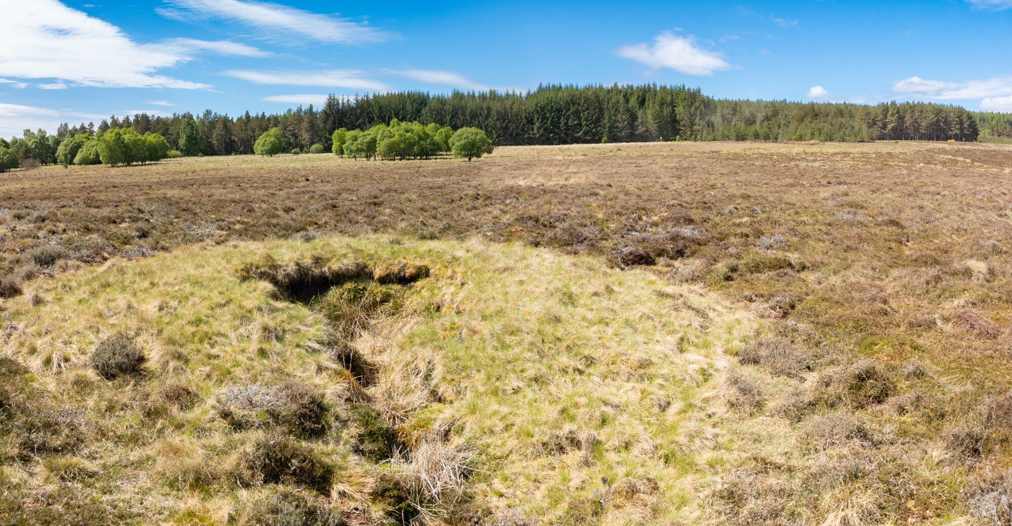 DJI_0092-Pano