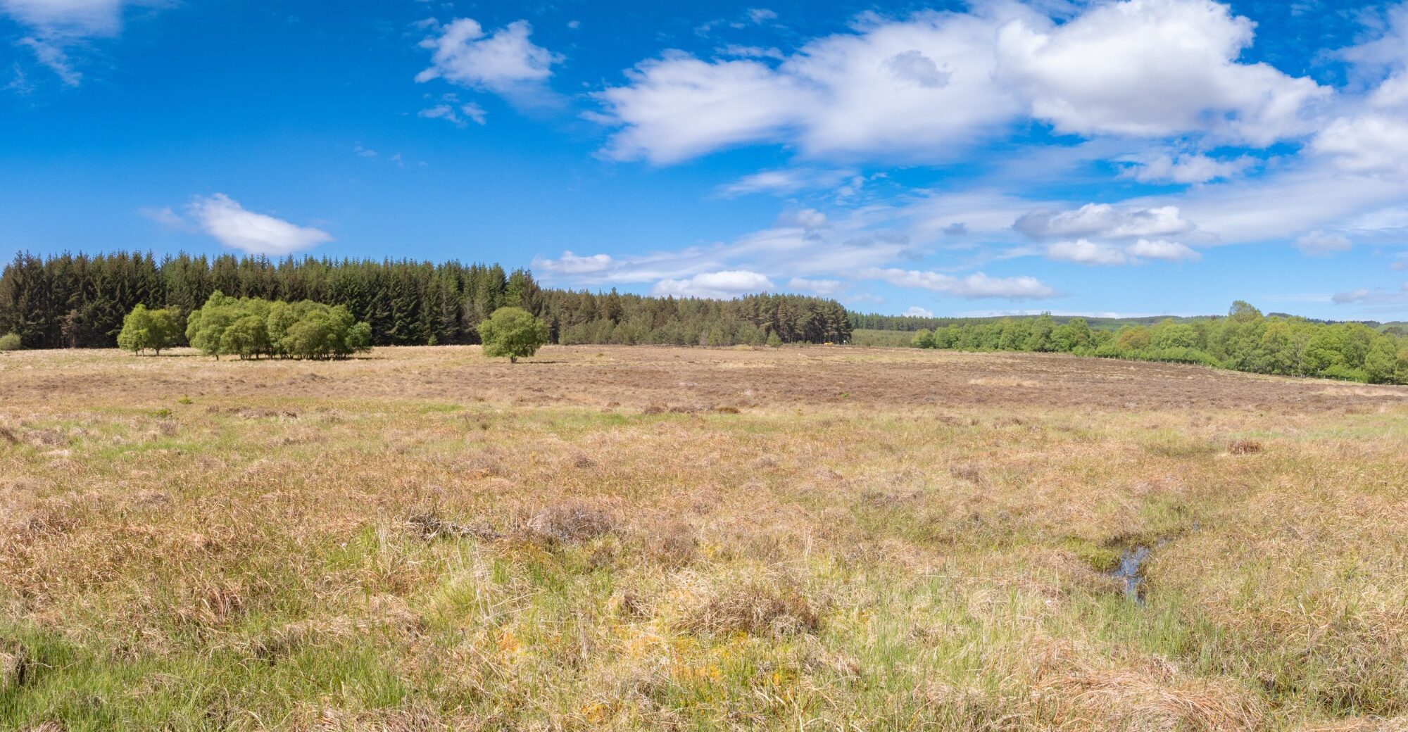 DJI_0096-Pano