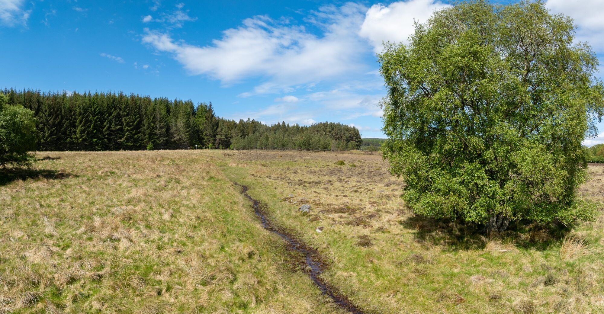 DJI_0102-Pano