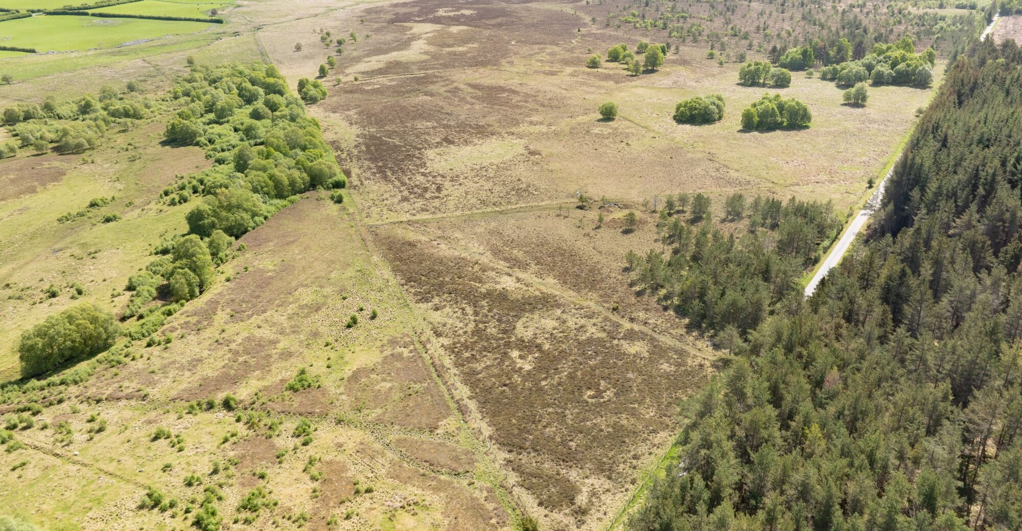 DJI_0105