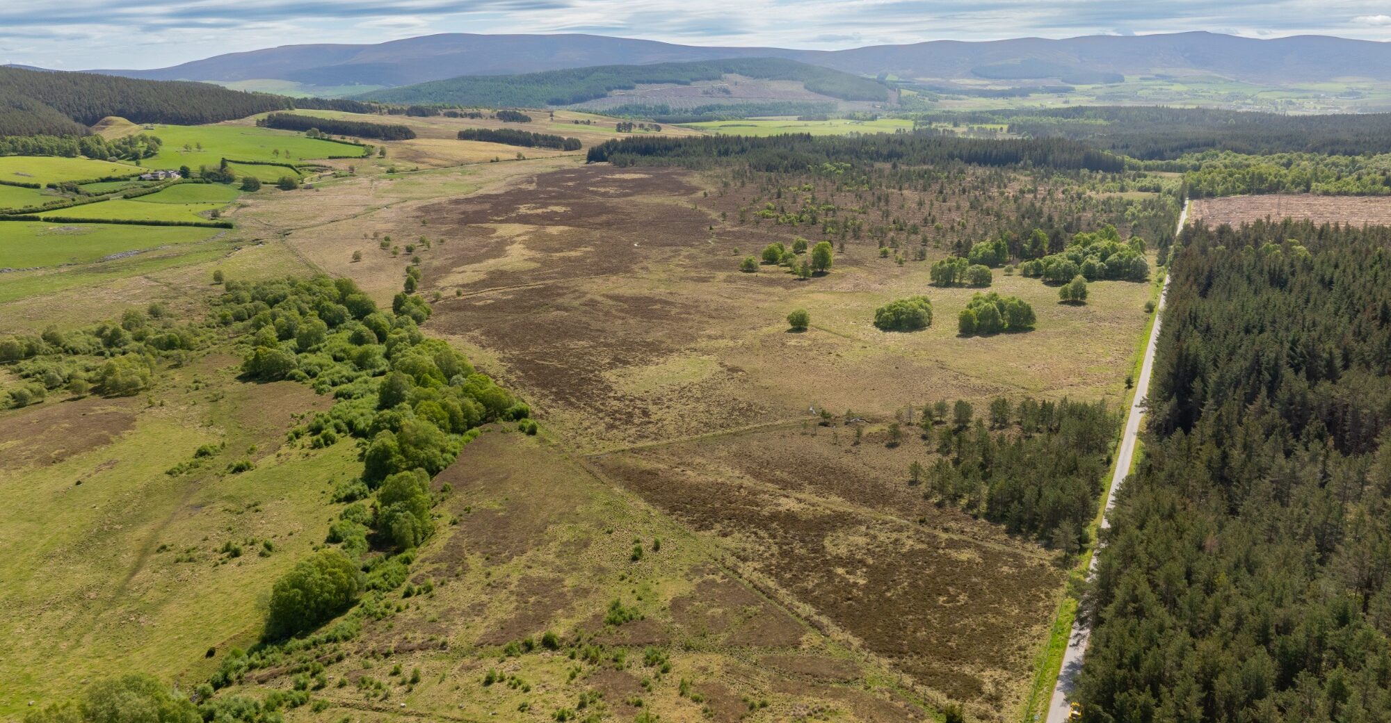 DJI_0106