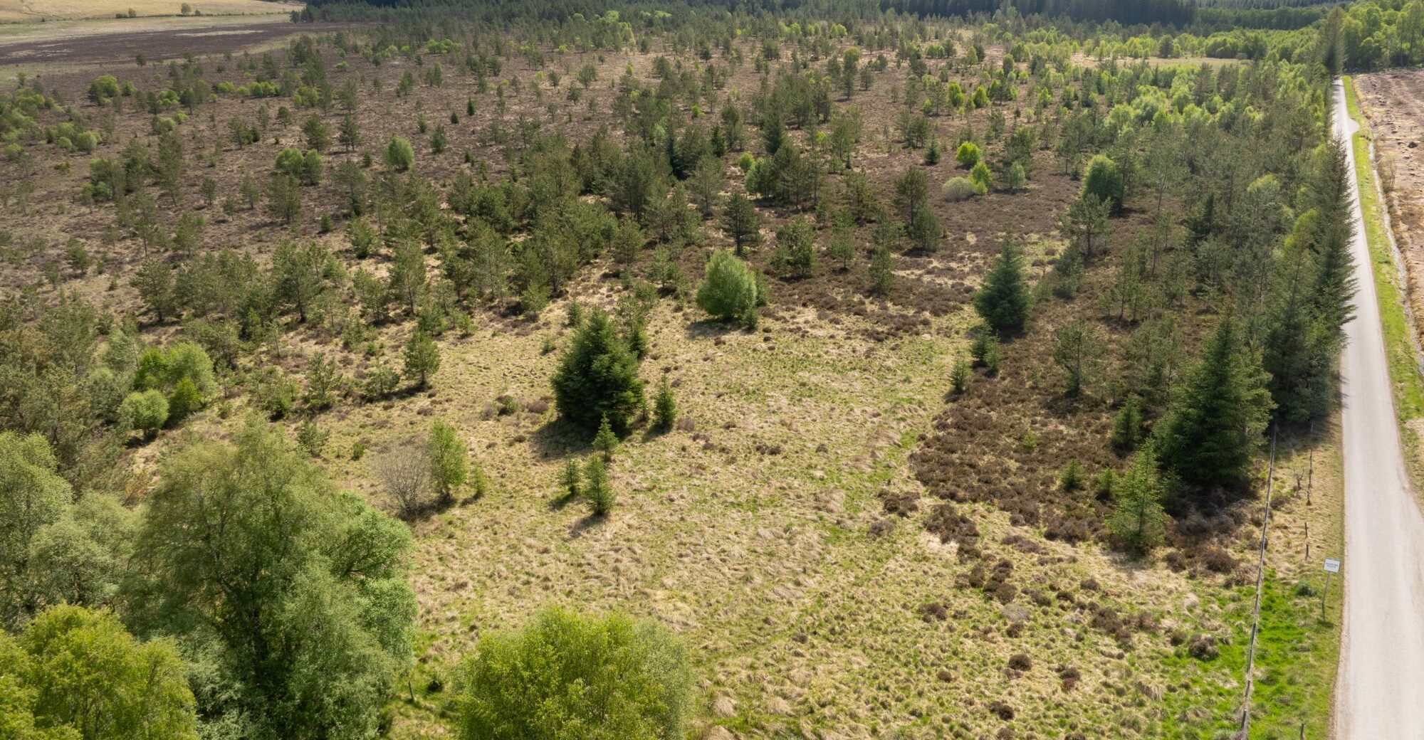 DJI_0110