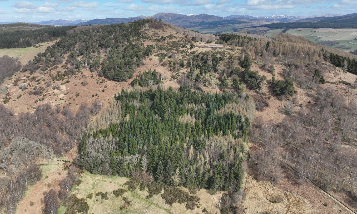 DJI_0114