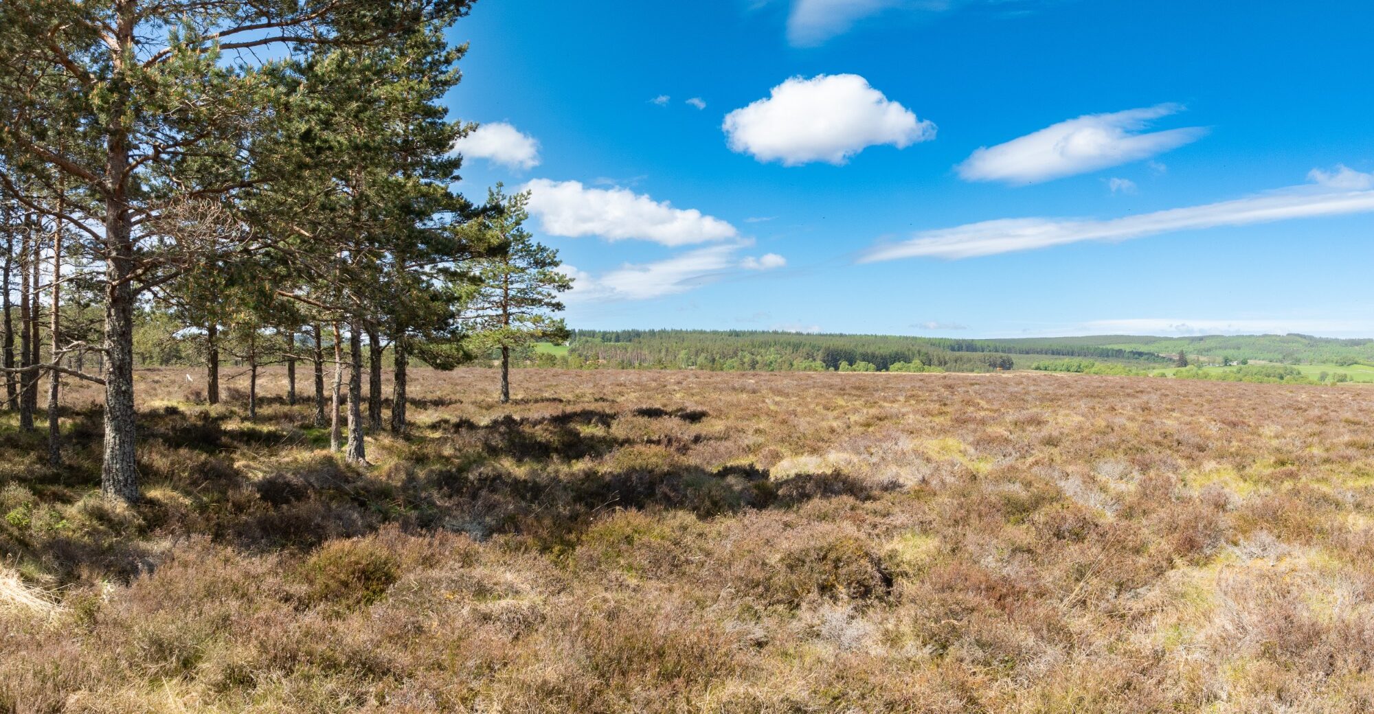 DJI_0139-Pano