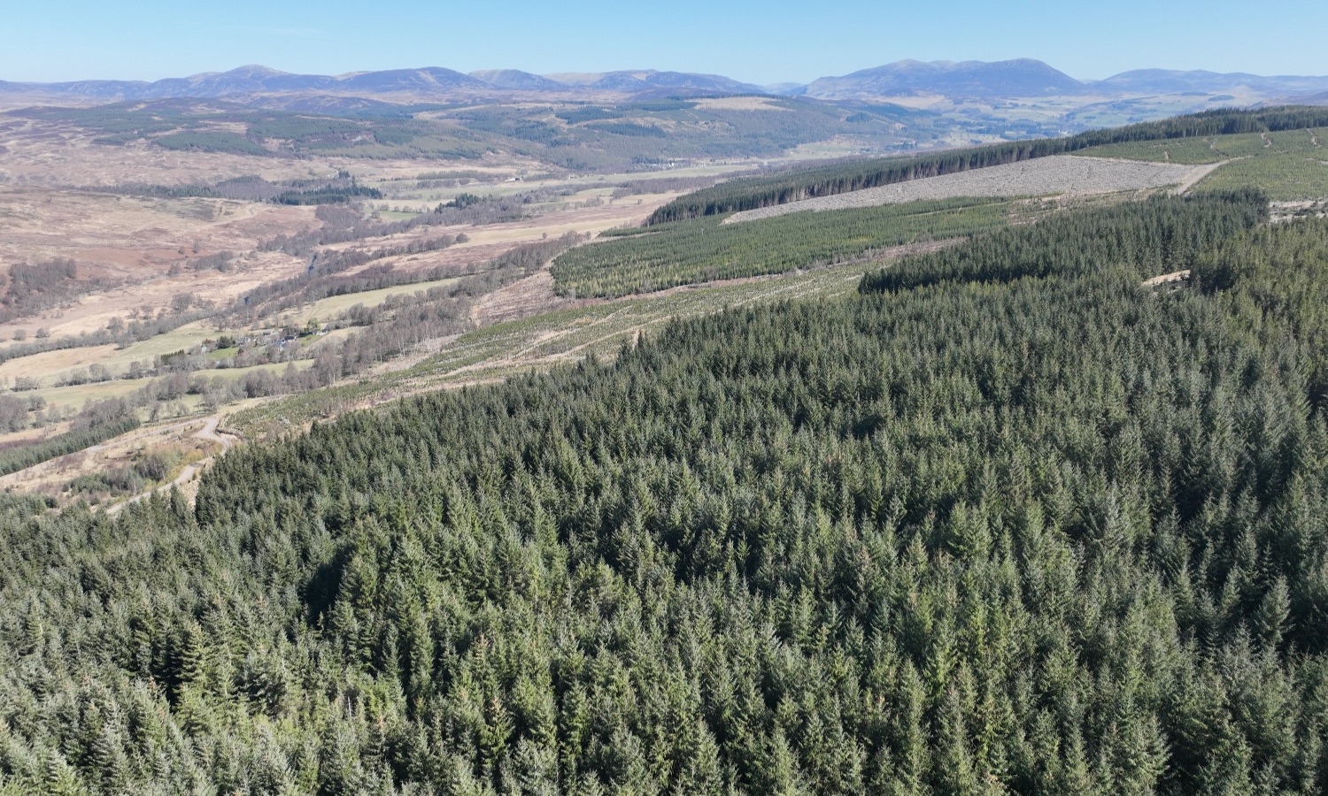 DJI_0292