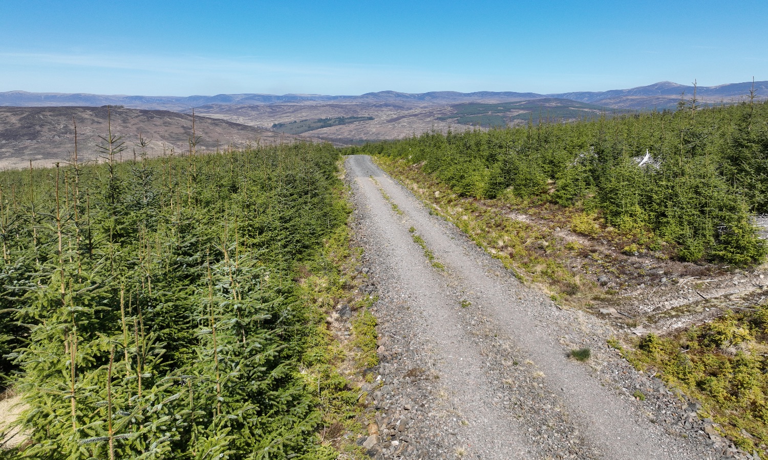 DJI_0303