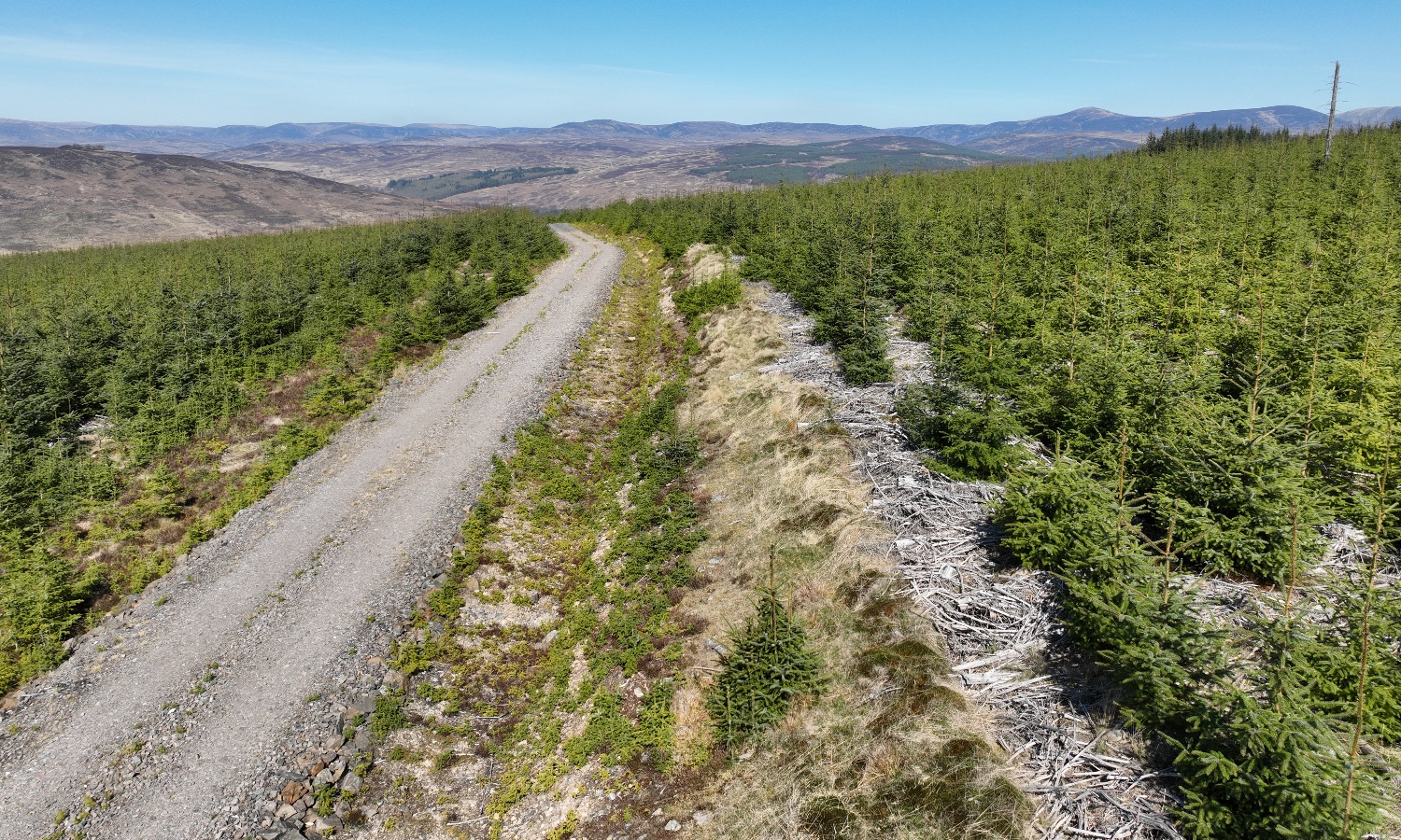 DJI_0329