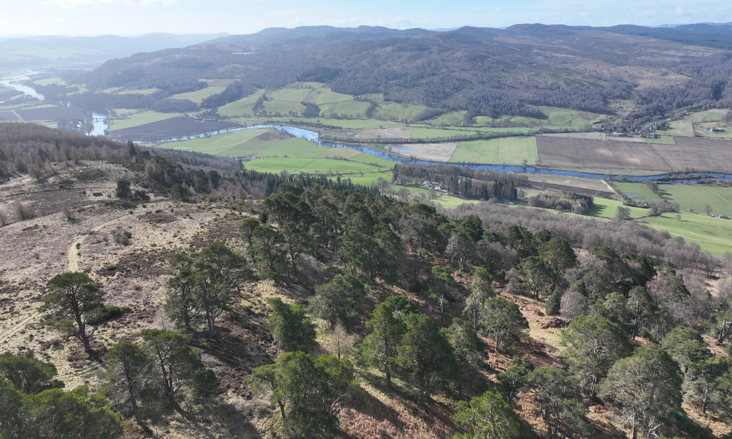 DJI_0946
