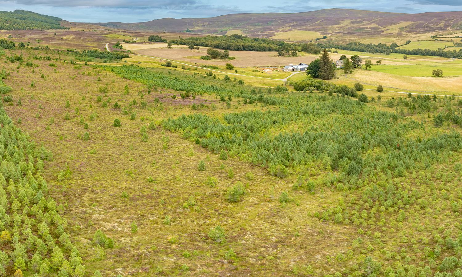 DJI_0003-Pano-Edit