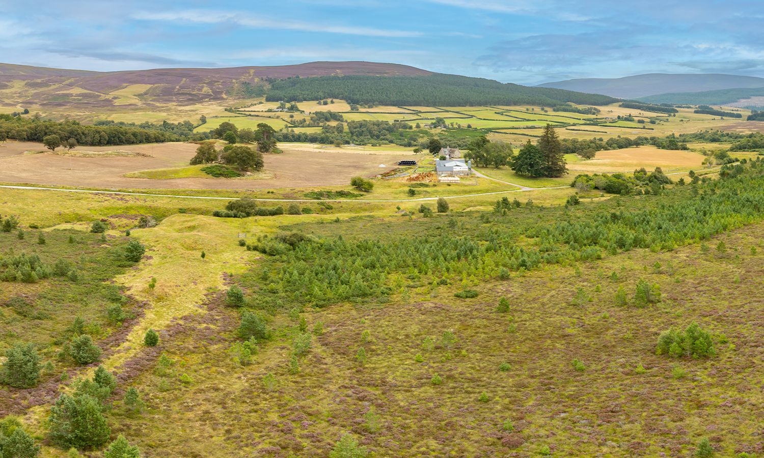 DJI_0009-Pano-Edit