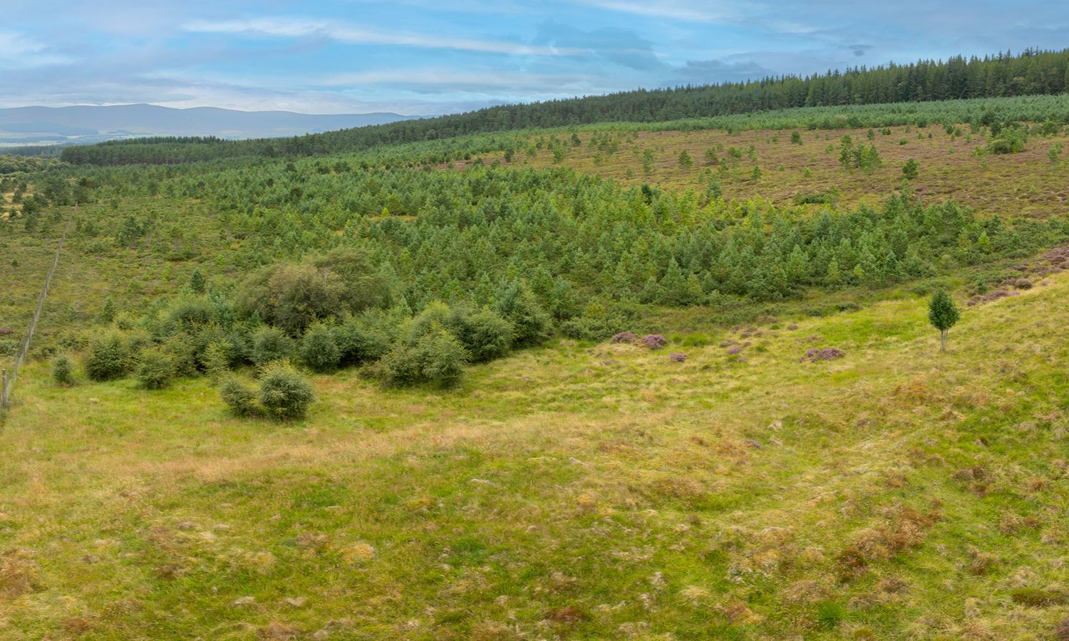 DJI_0015-Pano-Edit