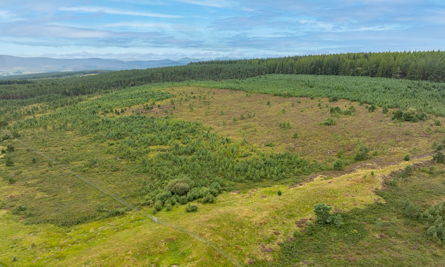 DJI_0022-Edit