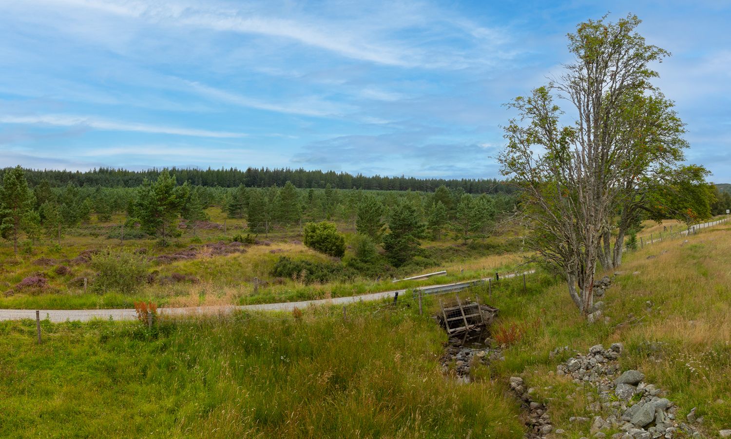 DJI_0025-Pano-Edit