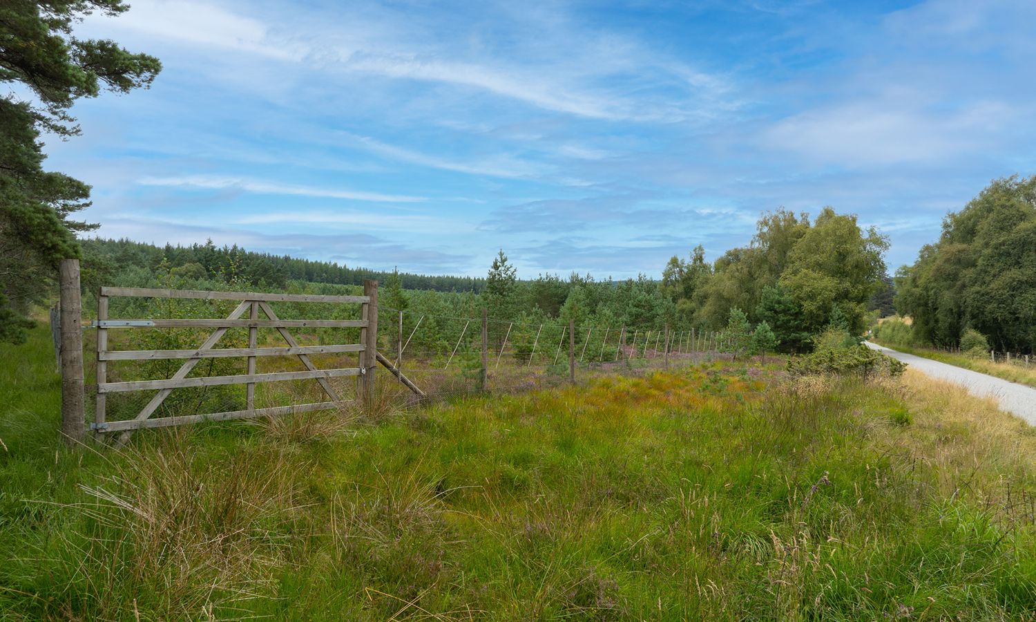 DJI_0994-Edit