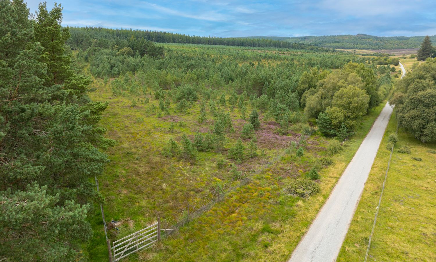 DJI_0995-Edit