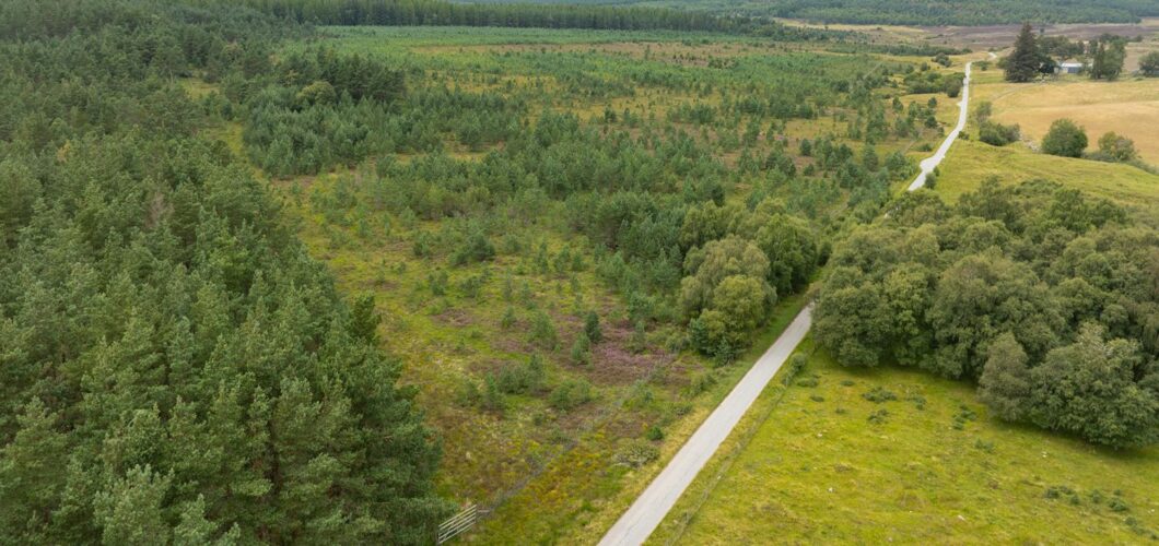 Auchnagallin Woodland - aerial view