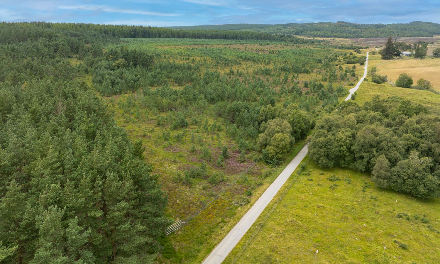 Auchnagallin Woodland - aerial view