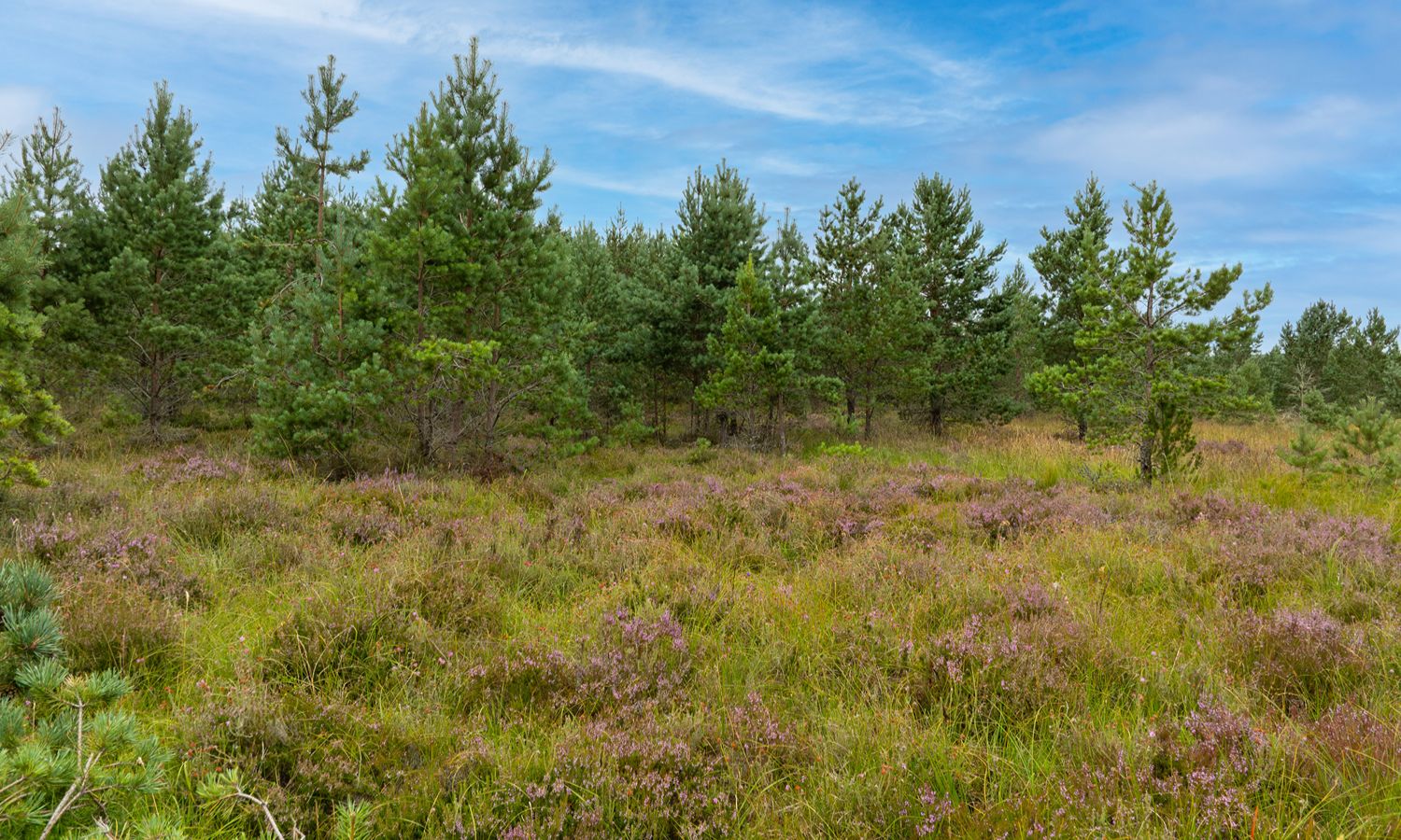 DJI_0997-Edit