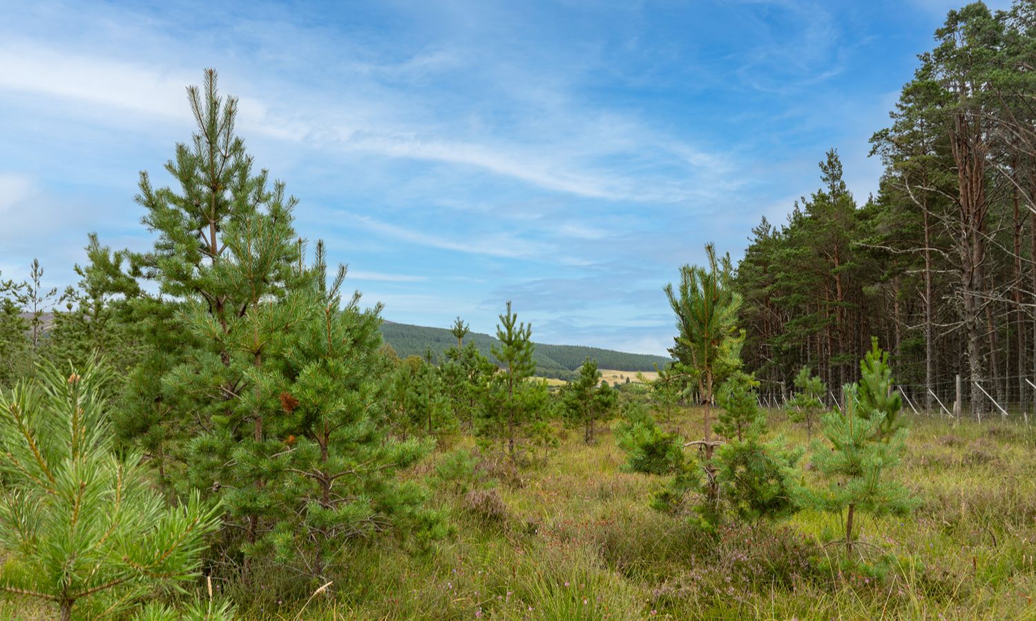 DJI_0998-Edit