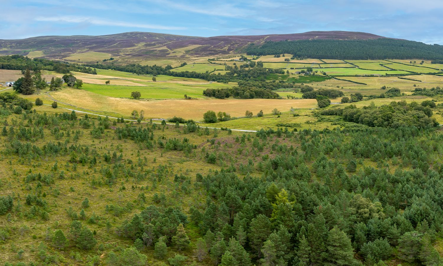 DJI_0999-Pano-Edit