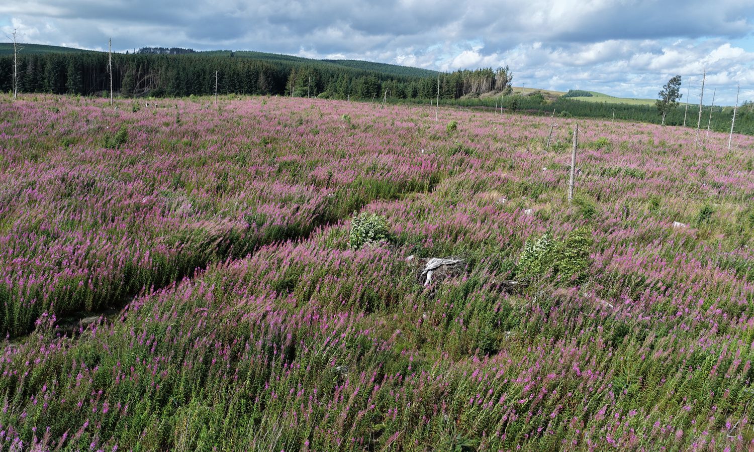 DJI_20260730151318_0033_D
