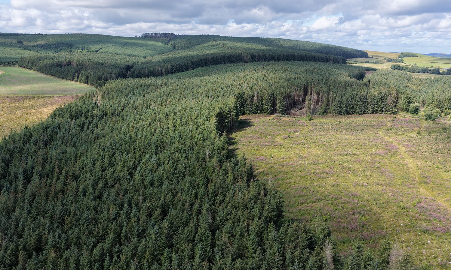 DJI_20260730151419_0036_D