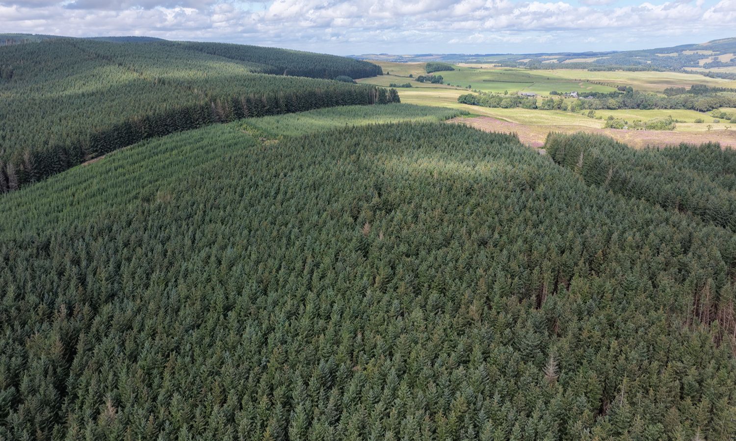 DJI_20260730151520_0043_D