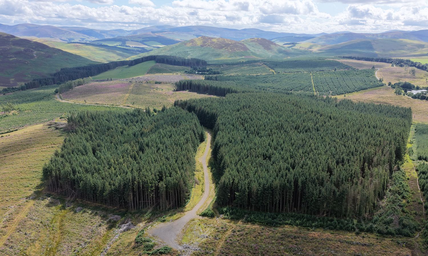 DJI_20260730151845_0063_D