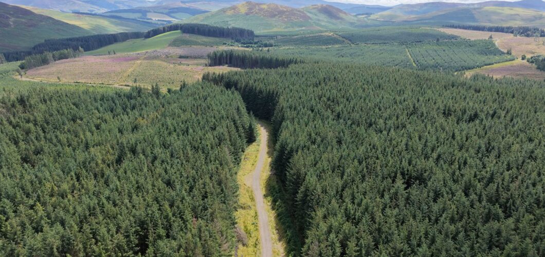 Nether Stewarton Forest - Goldcrest Land & Forestry Group - aerial view