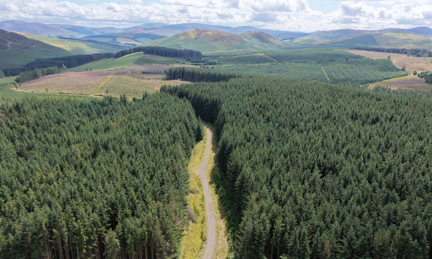 Nether Stewarton Forest - Goldcrest Land & Forestry Group - aerial view