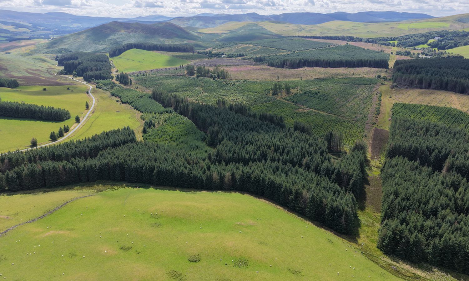 DJI_20260730152003_0070_D