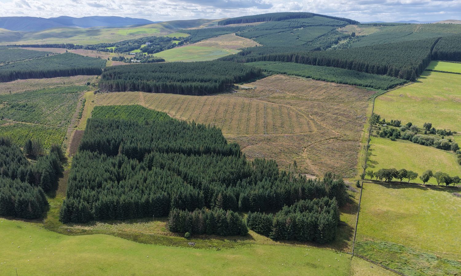 DJI_20260730152112_0073_D