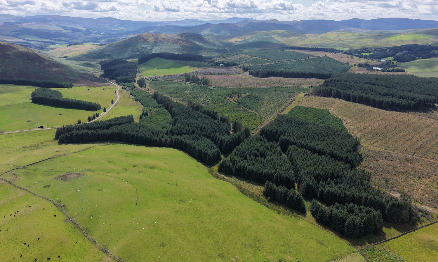 DJI_20260730152223_0077_D