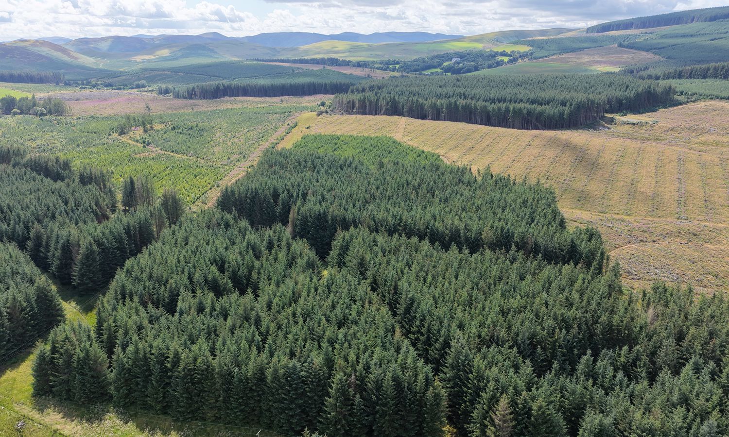 DJI_20260730152259_0080_D