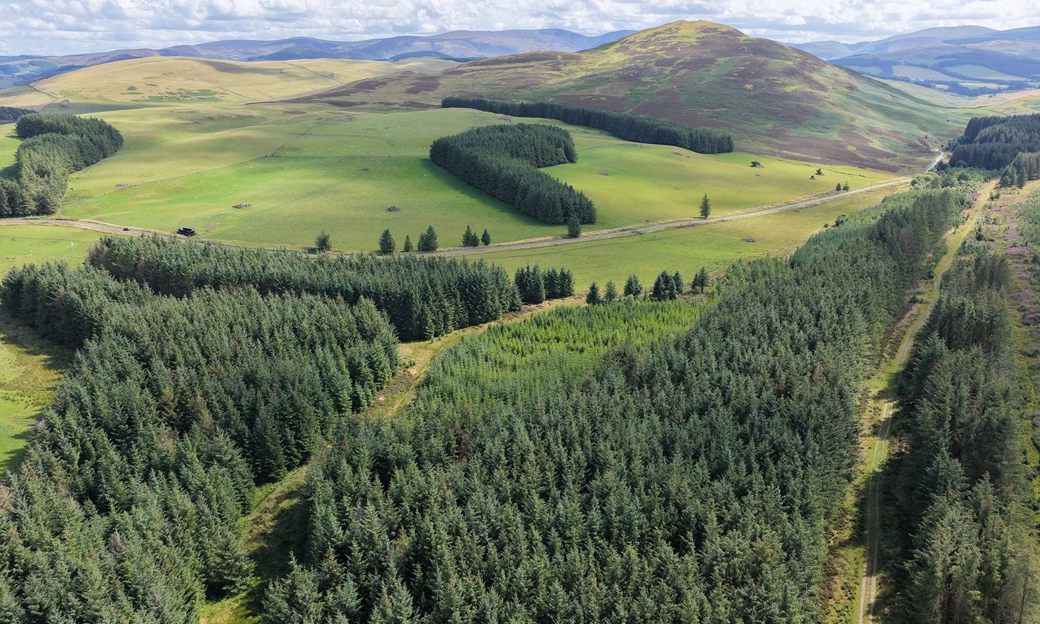 DJI_20260730152340_0084_D
