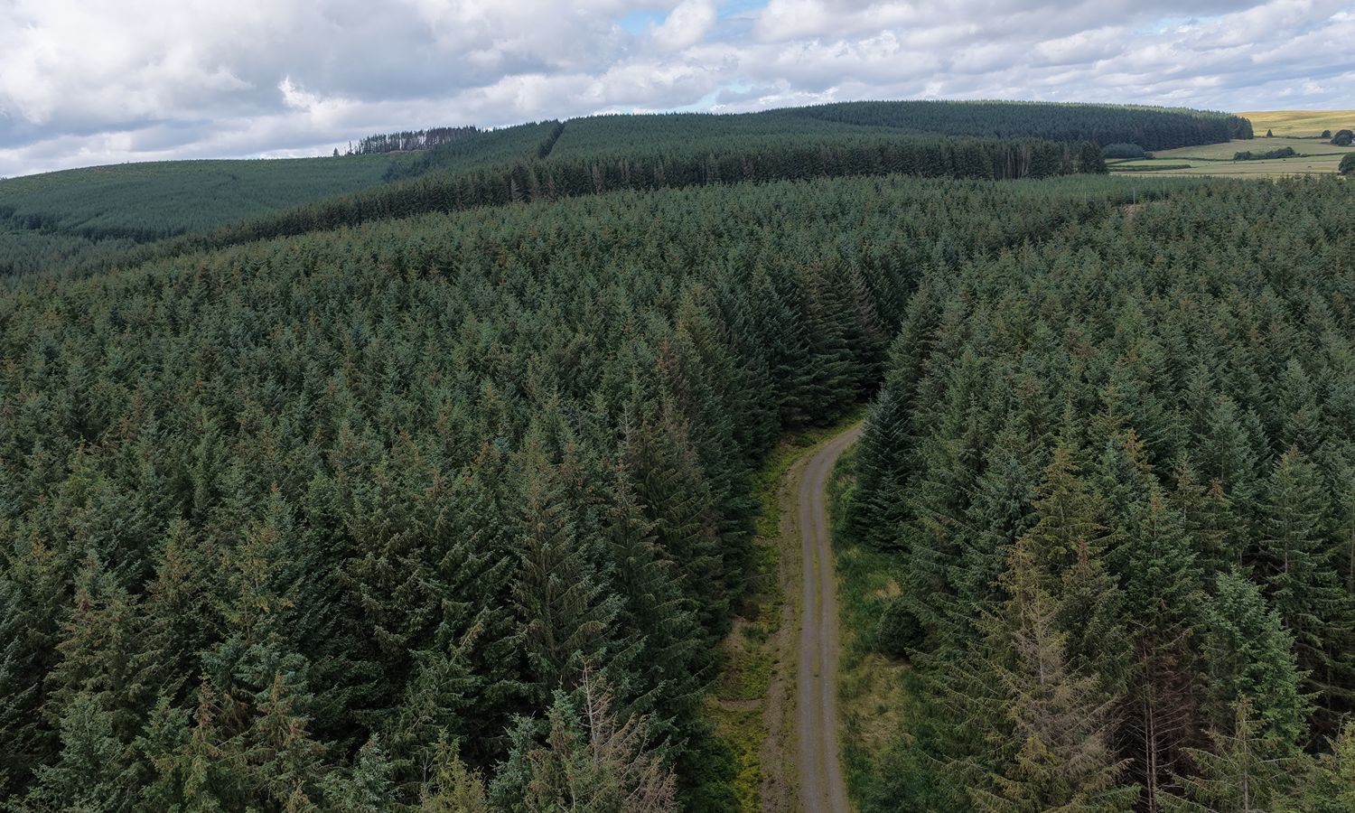 DJI_20260730153403_0120_D